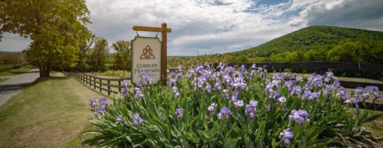 cobbler mountain sign 768x298