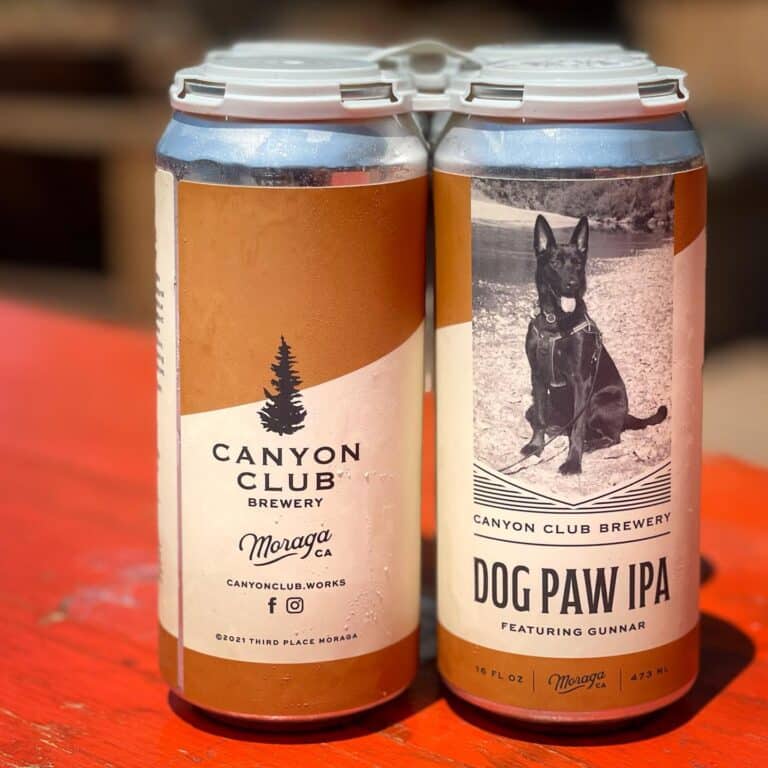 216859632 202219528576117 1437429733793035218 n 768x768