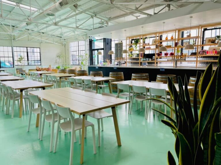 248988503 4880627031949826 8250586013688386264 n 768x576