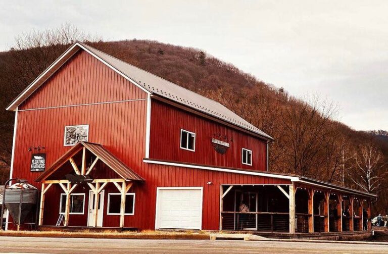 274179174 277892684416861 6603450483331784490 n 768x503