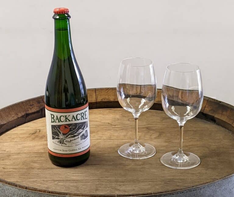 280446710 5135943726442919 8784158889630192670 n 768x647