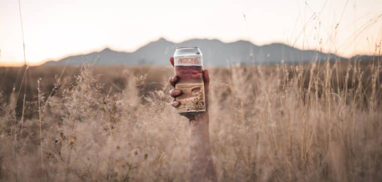 281577199 5139368026147663 5607985077116591114 n 768x367