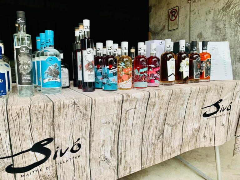 285102633 412514387548883 5937847707214368464 n 768x576