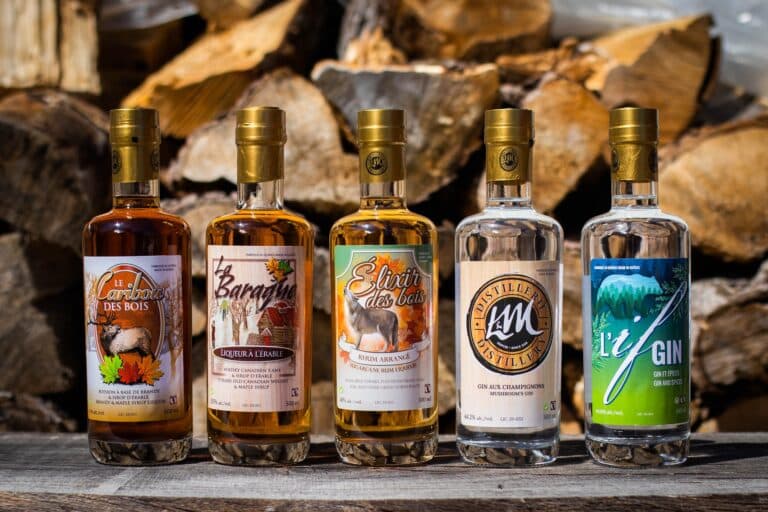 291493308 1252500678615443 3463217982234061341 n 768x512