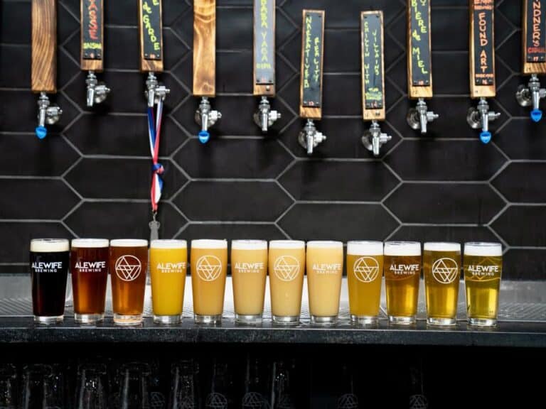 292849089 1643514786017393 8160559401330565942 n 768x576