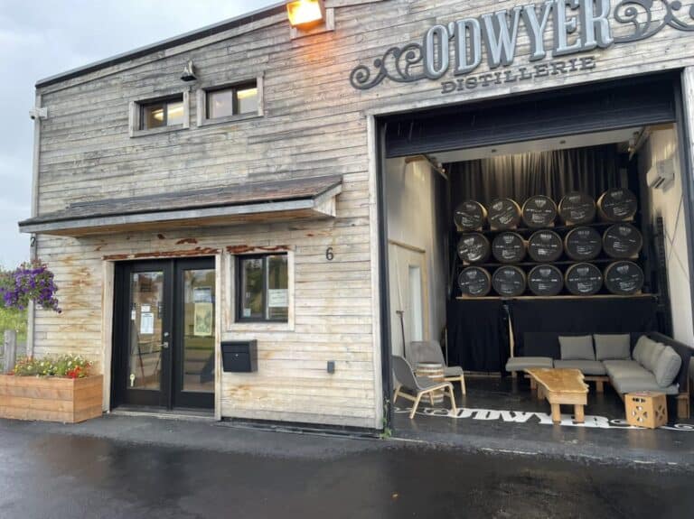 296923302 2166038303578226 735498656038981285 n 768x575