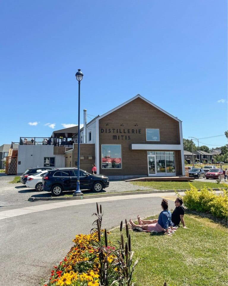 299339635 571123487908224 1456947187604128362 n 768x960