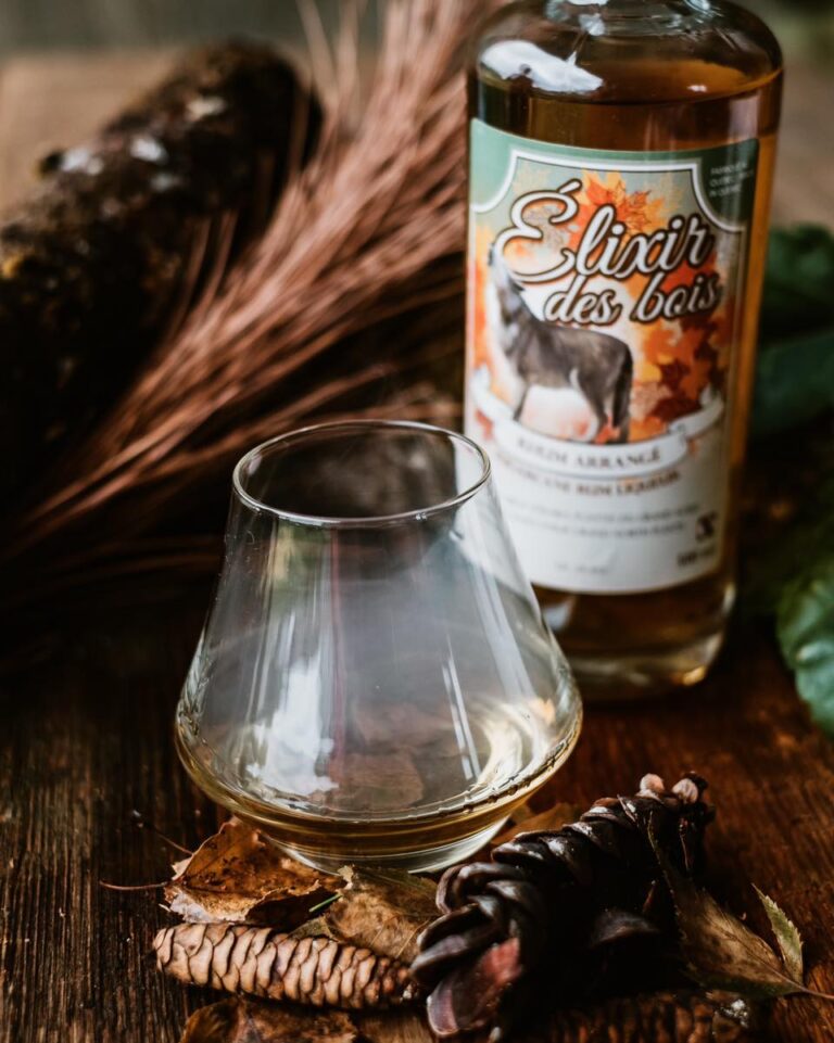 321959367 2959844444310521 7573412515082242932 n 768x961