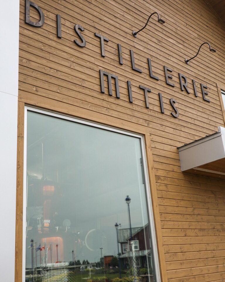 324022774 2686302101506731 17955459665807108 n 768x960