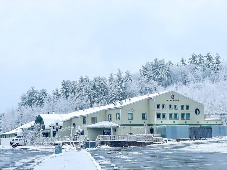 326307638 1069029227824913 5618374469464030703 n 768x576