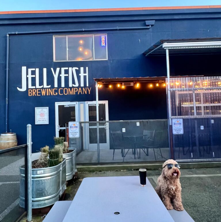 339752772 577397924152963 5726289646877341075 n 768x774