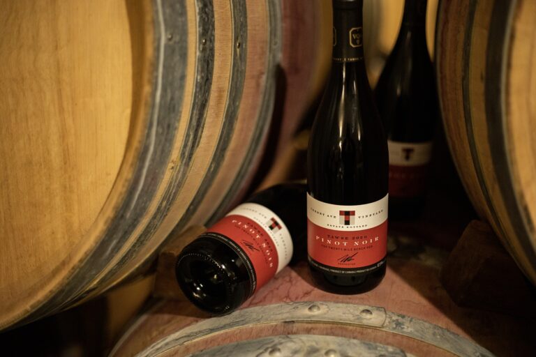 339974178 241555174943118 7803513637073083195 n 1 768x512