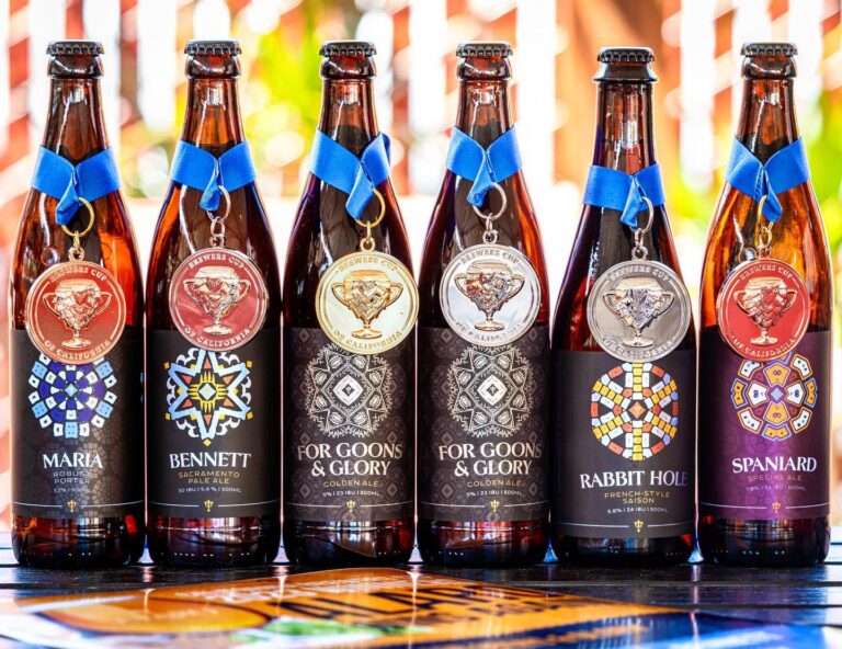 340800744 520736753380580 4293095950823366112 n 768x592