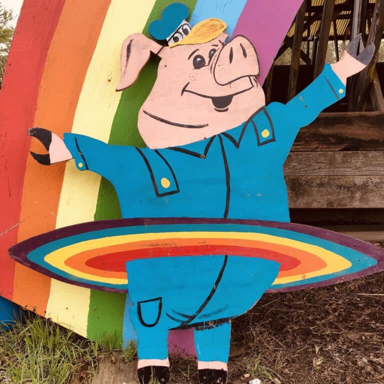 341887331 237664112169497 5033831491699298092 n 768x768