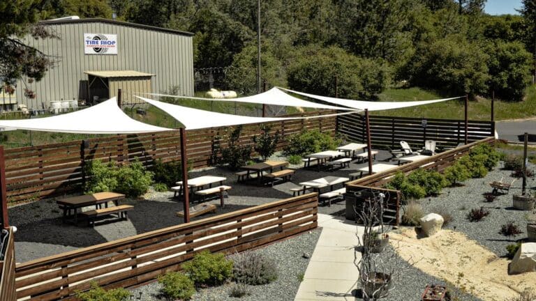 343309052 957512092353748 7252456410357802246 n 768x432