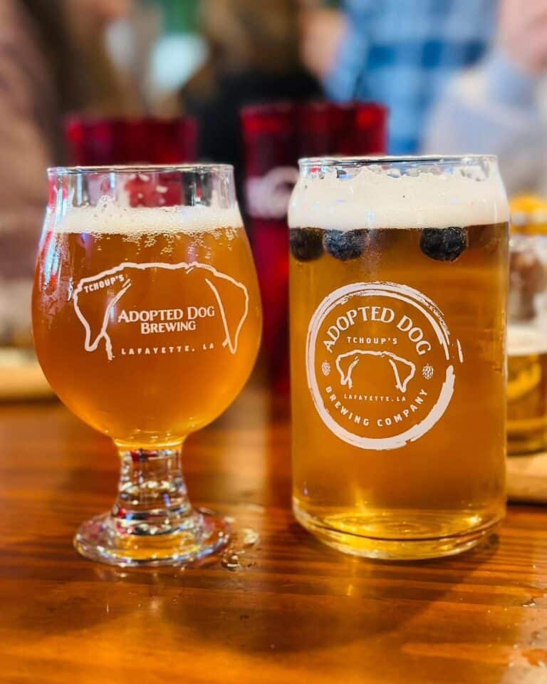 343506057 225978546706169 4075759083557092768 n 768x960