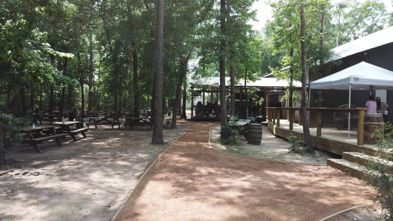 39151767 1928161247234221 8245032612003840000 n 768x432