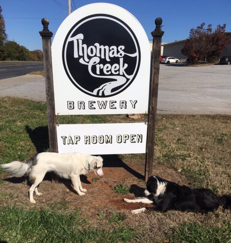 56532436 2248710411839221 6573567804396535808 n 768x807