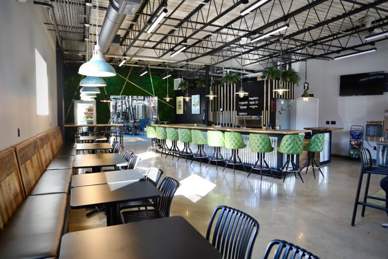 babycat interior 2 768x512