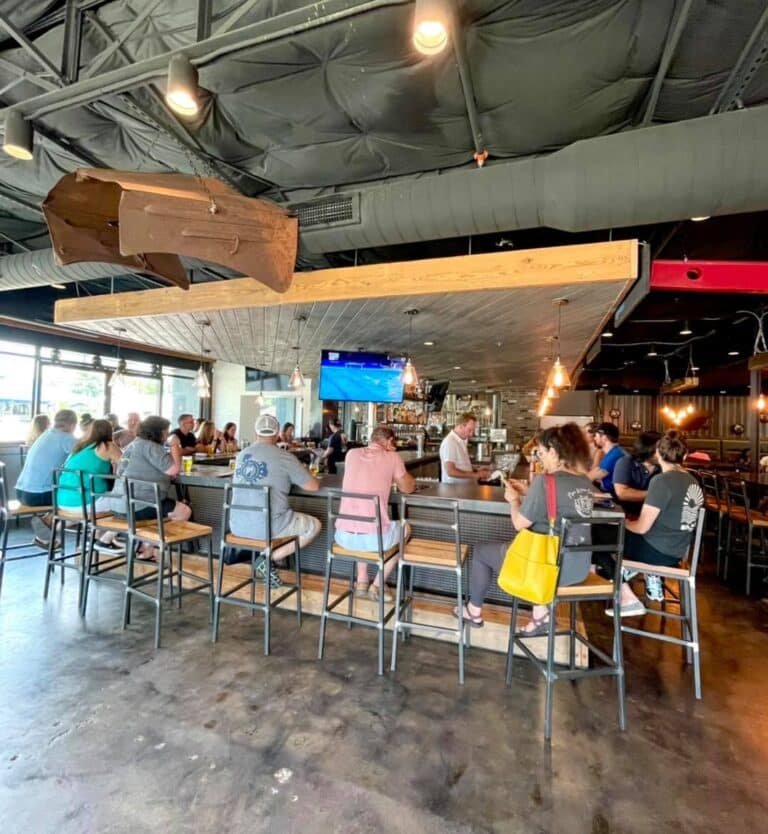 231302495 175256418003329 2384608947436259962 n 768x834