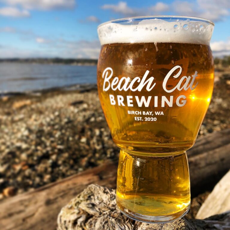 258781361 1731655513694452 3232368679924516136 n 768x768