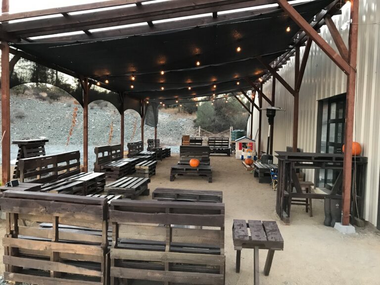 301901668 480109164125504 5667816794165094399 n 768x576