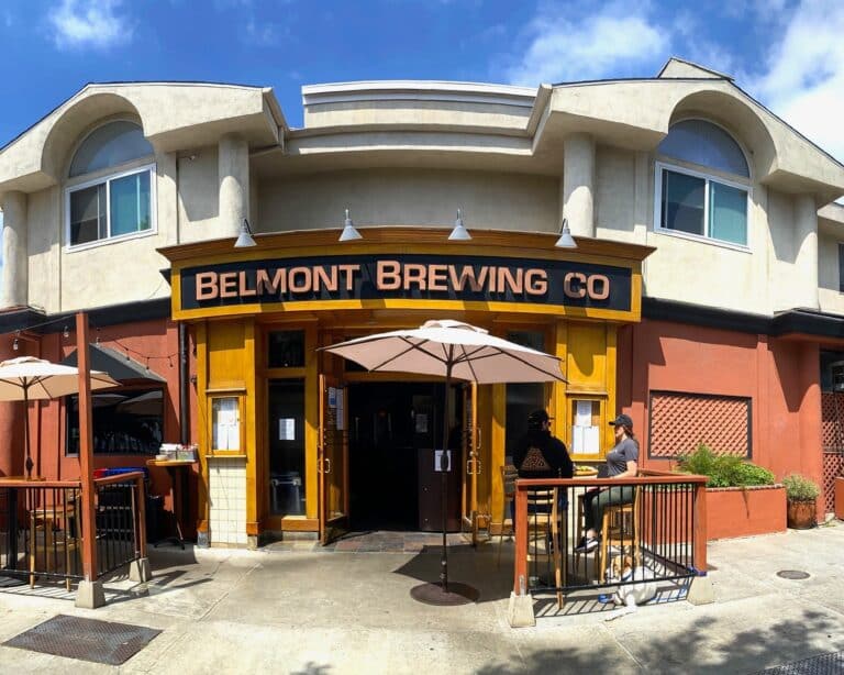 317686179 854885818816154 1957203445876588617 n 768x614