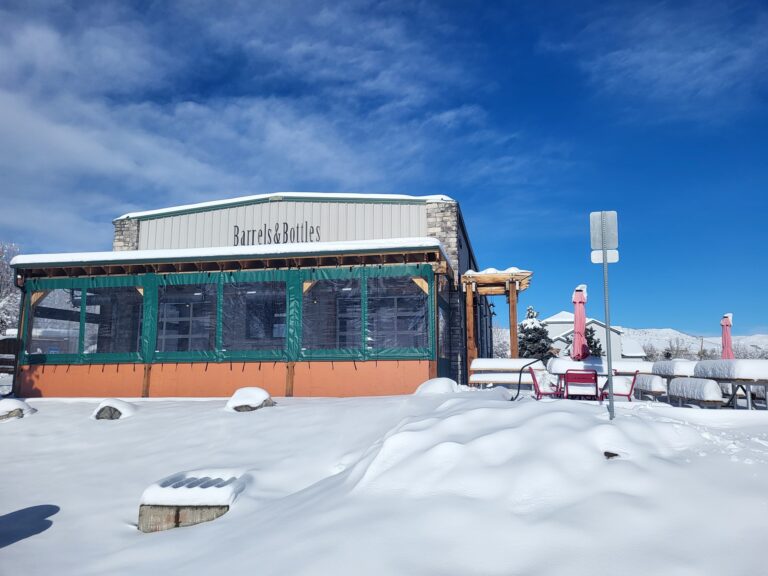 322857010 743741993589417 1582272010360609519 n 768x576