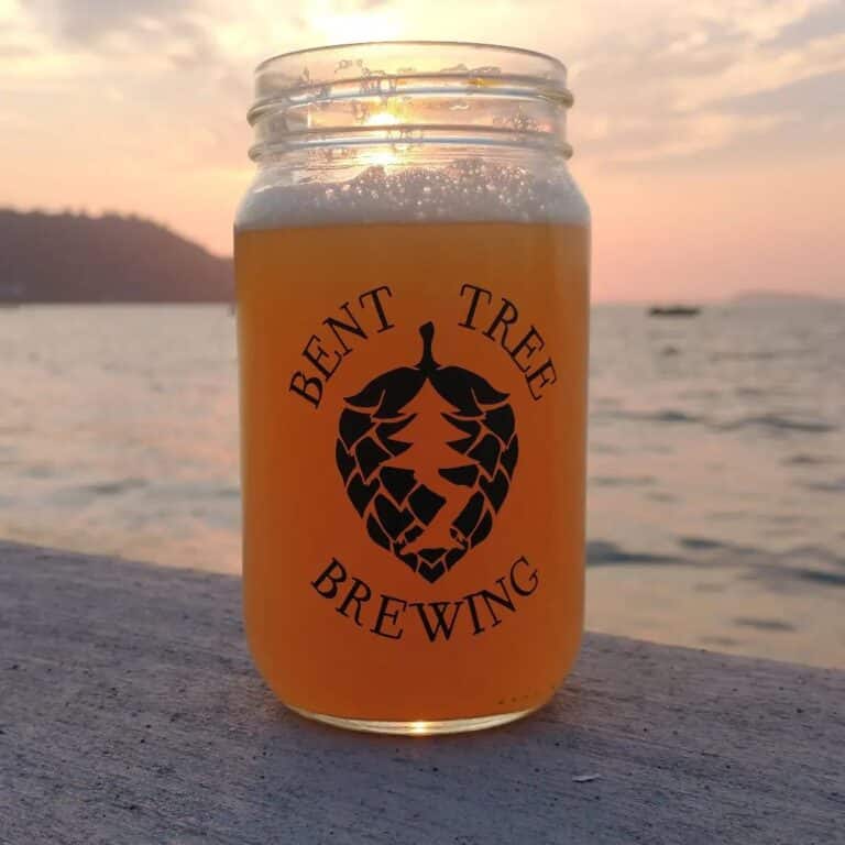 337132615 563089012468393 7675559373894621411 n 768x768