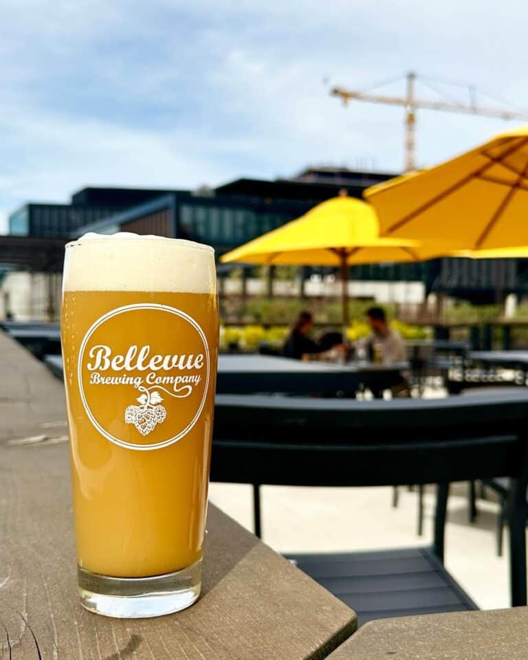 337829045 658832262713797 4004324239646113717 n 768x960