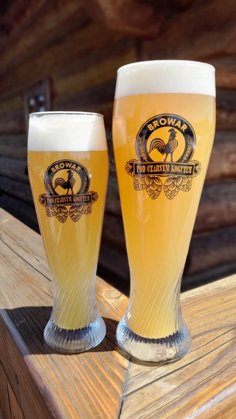 350003524 1206354196742696 7515542976871023195 n 768x1365