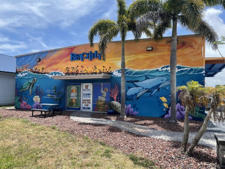 353054868 713811887420026 1934207111727779661 n 768x576