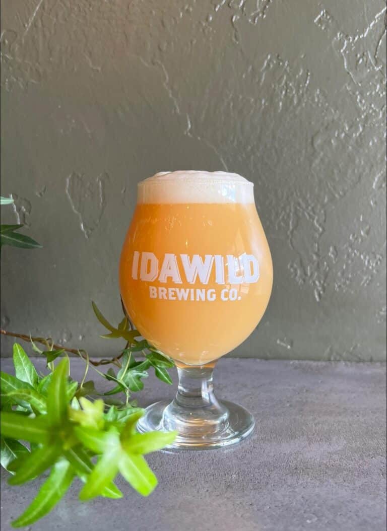 336883925 885841406038374 2716596681019840245 n 768x1054