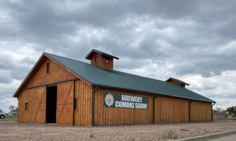 185277412 262024372280272 880287429045125117 n 768x461