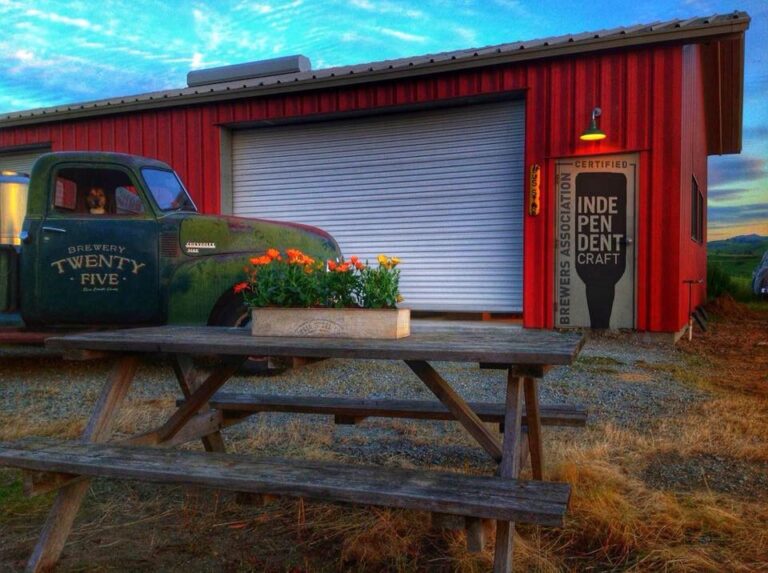 22308833 1810924475614897 3603755361952571048 n 768x573