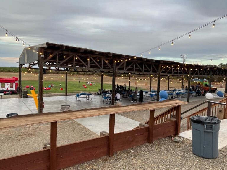 307652353 525440782917164 4074575347402339576 n 768x577