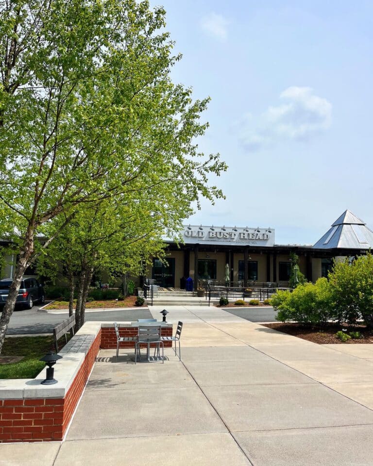 343320584 191588489934504 6034678279030170654 n 768x960