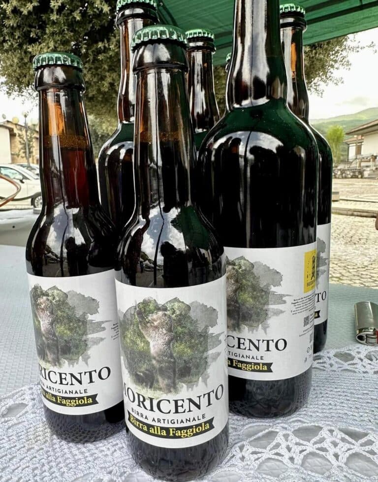 347260162 6504417822913267 554191641285636073 n 768x979