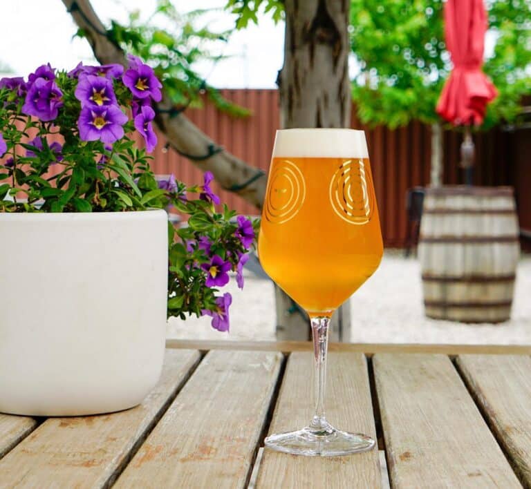 353429437 761247489342131 4223410077980881115 n 768x708