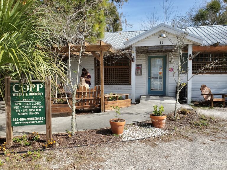 2020 01 18 1 768x576