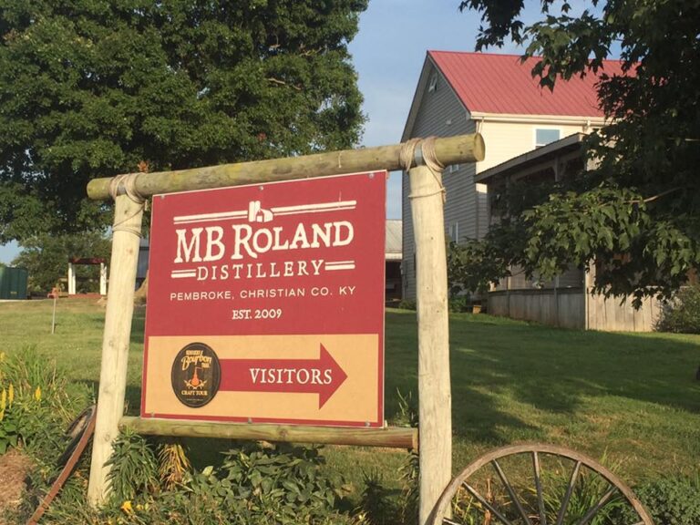 20476539 1883325681988633 1120777649825293931 n 768x576