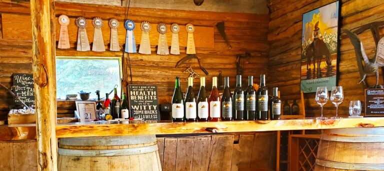 308759944 622402399451744 3233434232905422865 n 768x342