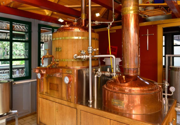 254283967 4403182076456415 7717674333131702125 n 768x532