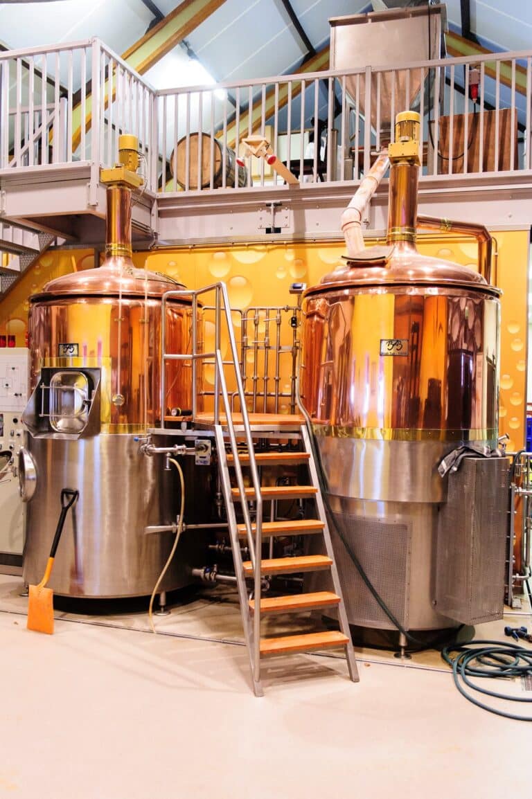 1401644 205402342978342 1011699395 o 768x1154