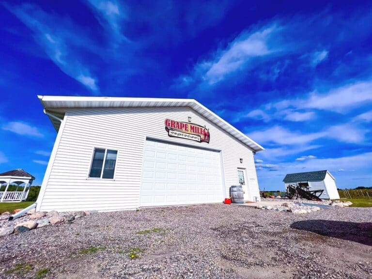 286403733 5714515911895352 8713210576551086202 n 768x576