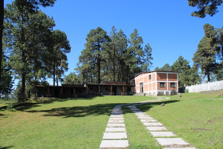 329234020 1178836929483788 6438303738344915678 n 768x512