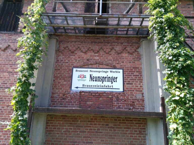 IMG 20160809 140214 768x576