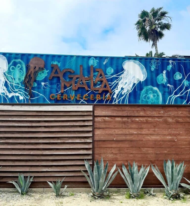 96357787 235133264588062 4762816694234751283 n 768x832