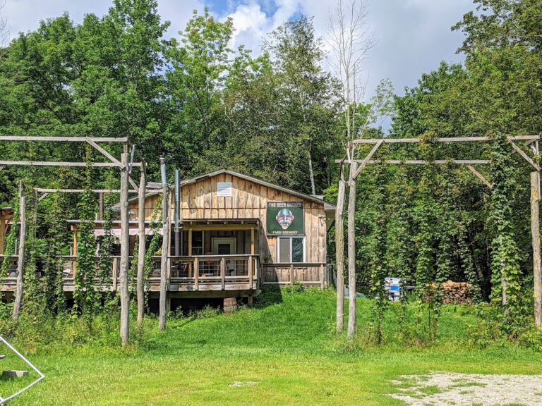 PXL 20210824 175211639.MP  768x576