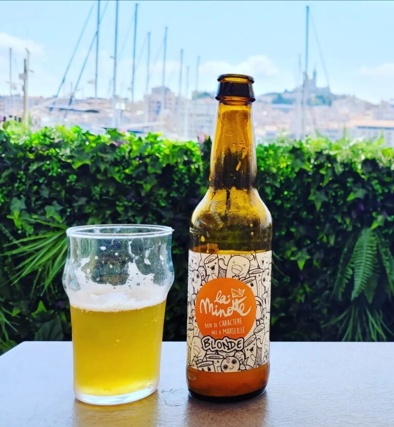 302104005 478147087467378 7259489917264117814 n 768x833